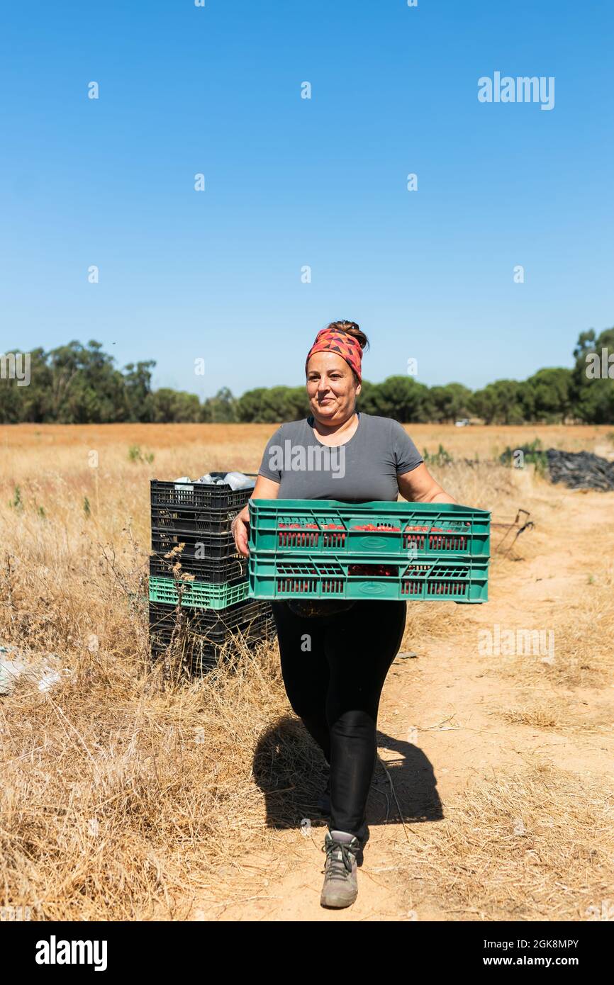 Full body of Woman carrying plastic container with ripe raspberries ...