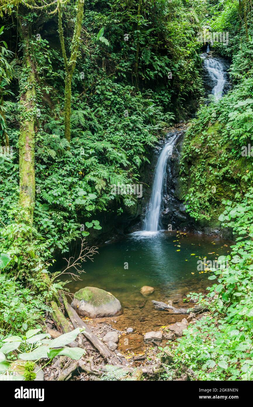 San Luis waterfall in a cloud forest of Reserva Biologica Bosque Nuboso Monteverde, Costa Rica Stock Photo