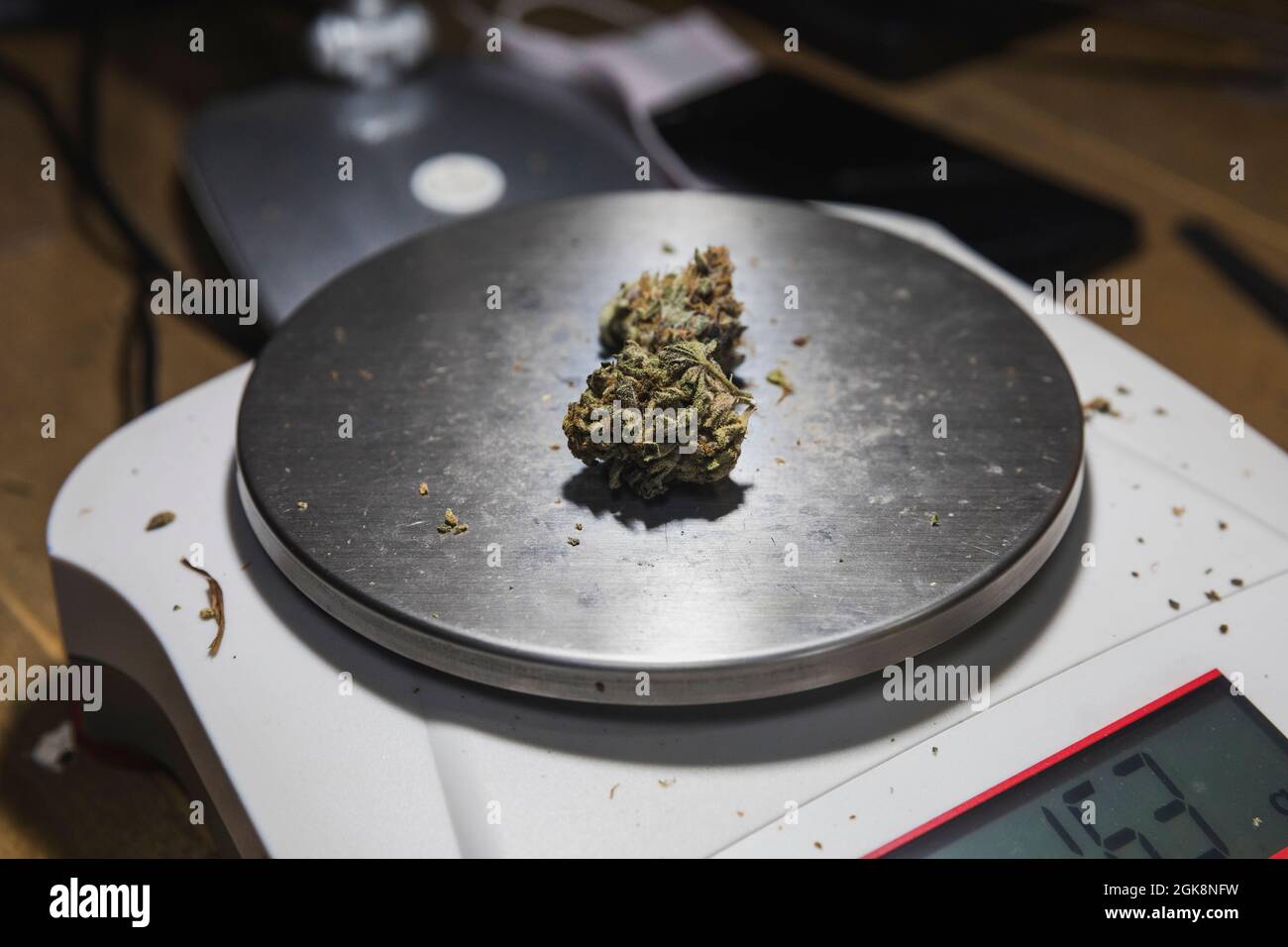 https://c8.alamy.com/comp/2GK8NFW/weighing-scales-with-dry-marijuana-floral-buds-on-table-in-room-on-blurred-background-2GK8NFW.jpg