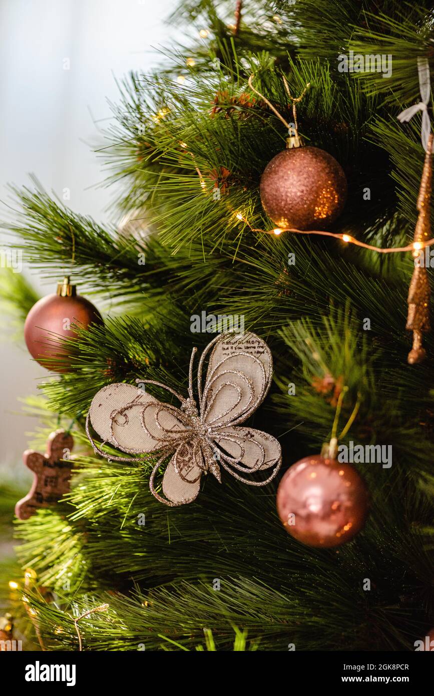 Tree spruce fir in magic hi-res stock photography and images - Alamy