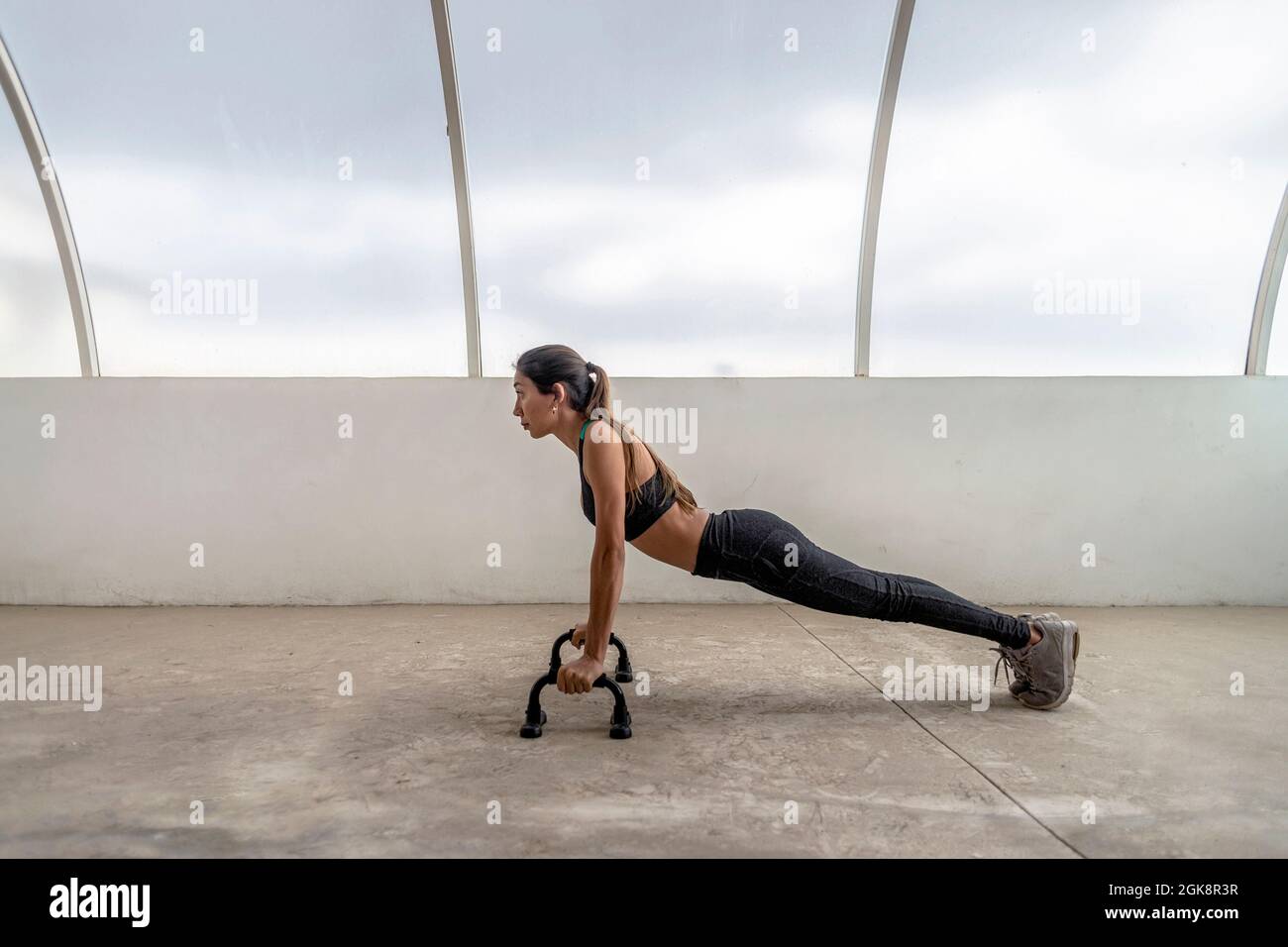 Flexiones con push up bars new arrivals