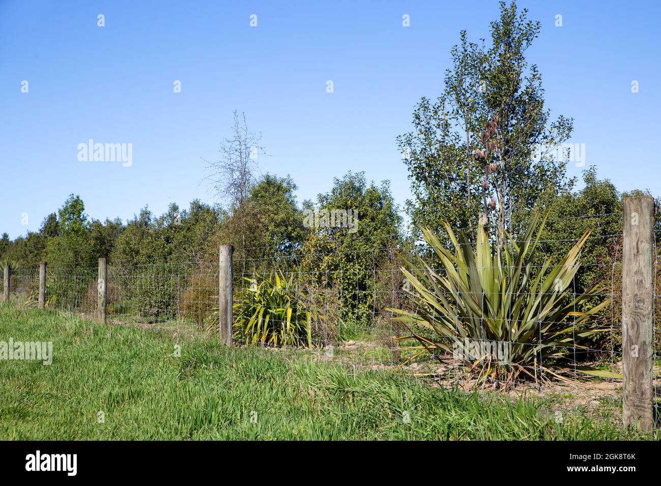 Fences and trees hi-res stock photography and images - Alamy