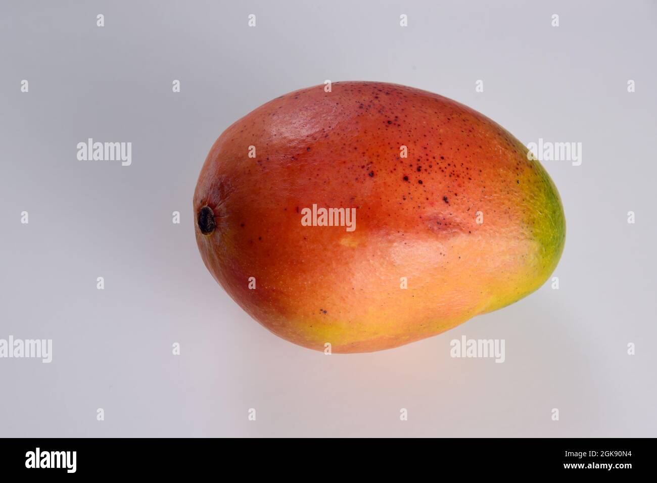 a ripe mango with a mixture of red and orange tones Stock Photo