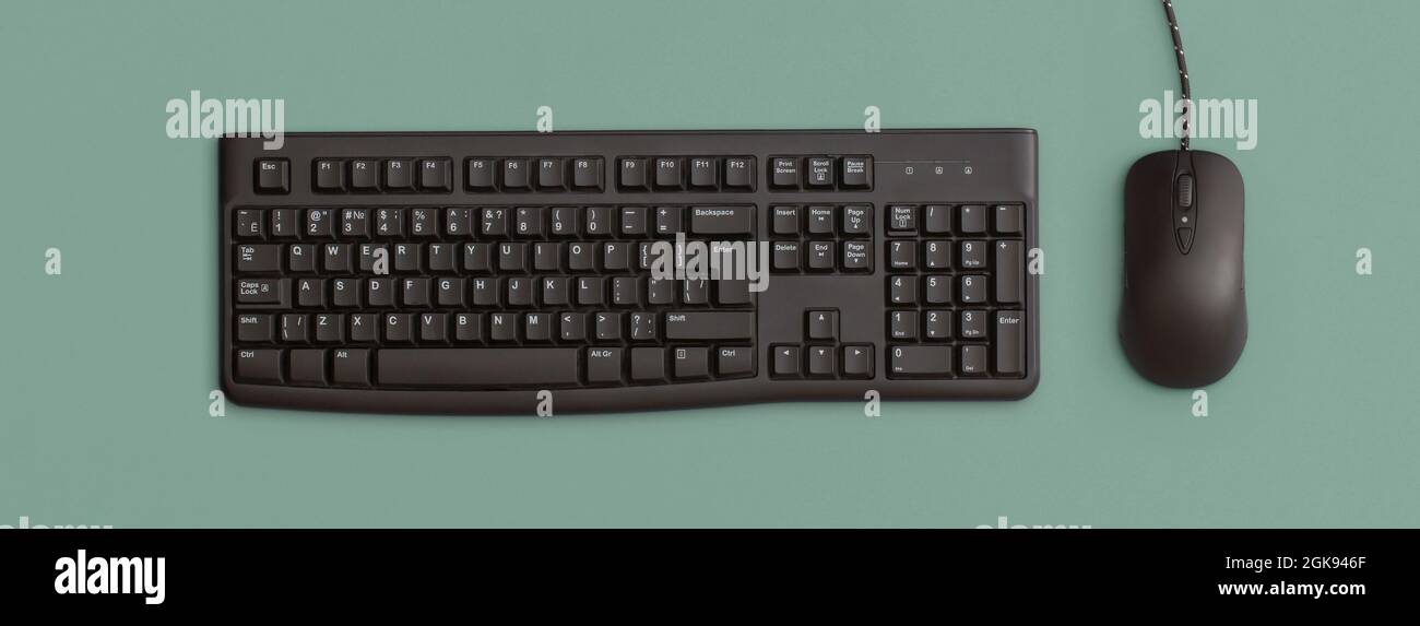 Computer black keyboard and mouse on green background. Top view. Flat lay. Stock Photo
