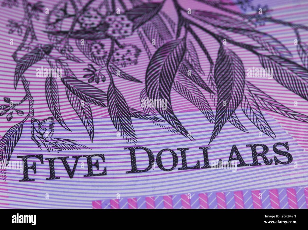 5 Australien dollar bill, detail, Australia Stock Photo
