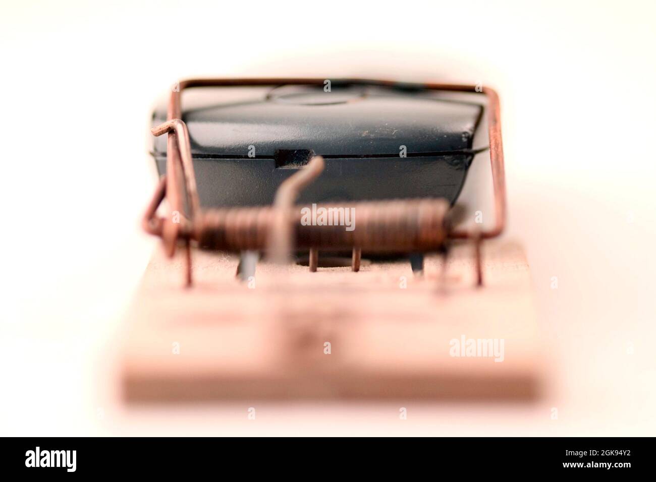 mousetrap and mobile, telephone service Stock Photo