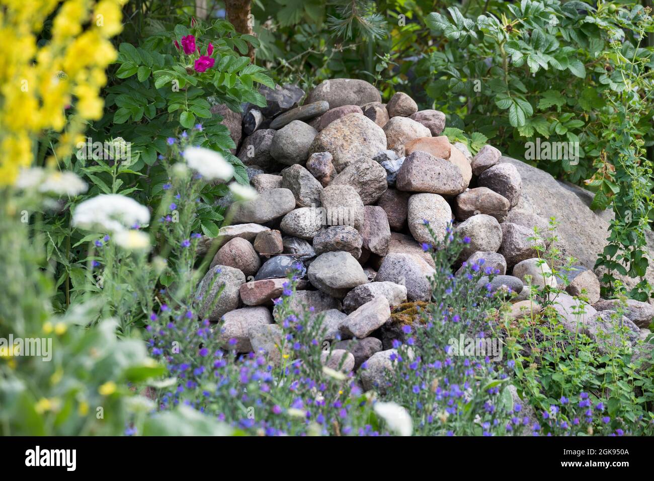 clearance cairn in the garden as a shelter for animals, Germany Stock Photo