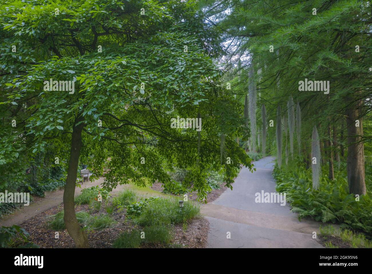 Botanical Gardens Flottbek, Germany, Hamburg-Flottbek Stock Photo