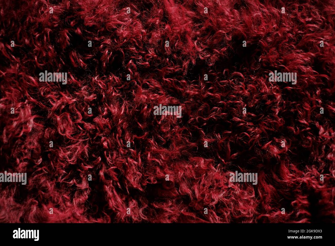 Fur background. Fluffy burgundy fur texture.Red real wool. Fur texture. Goat fur surface. Warm fur texture. Stock Photo