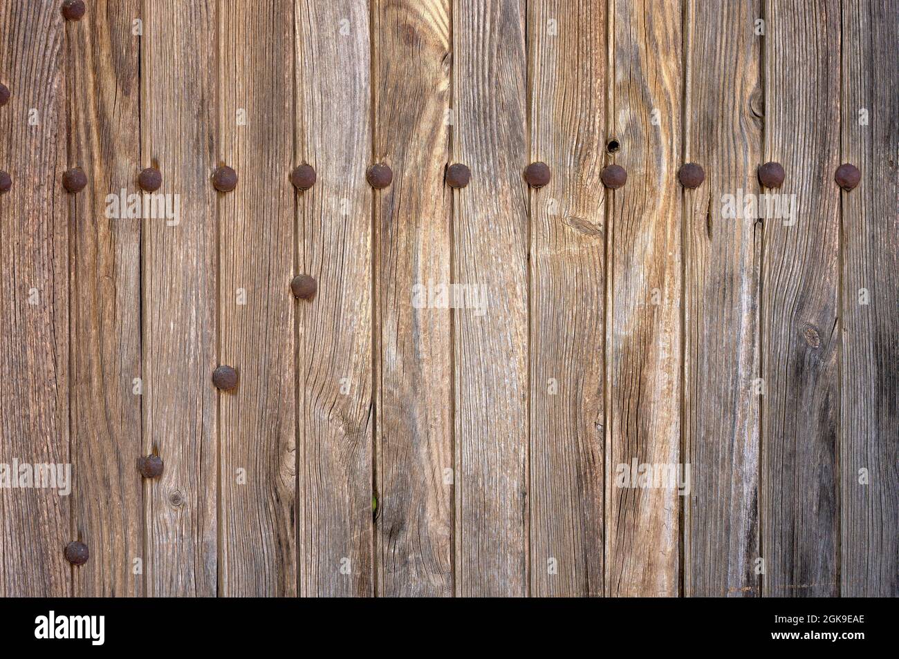 detail of an old wooden door with rusty nails Stock Photo