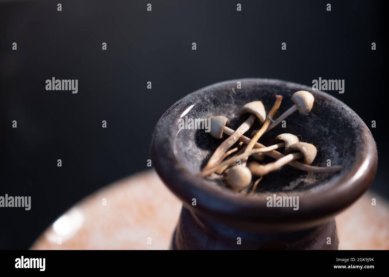 stingwater magic mushroom