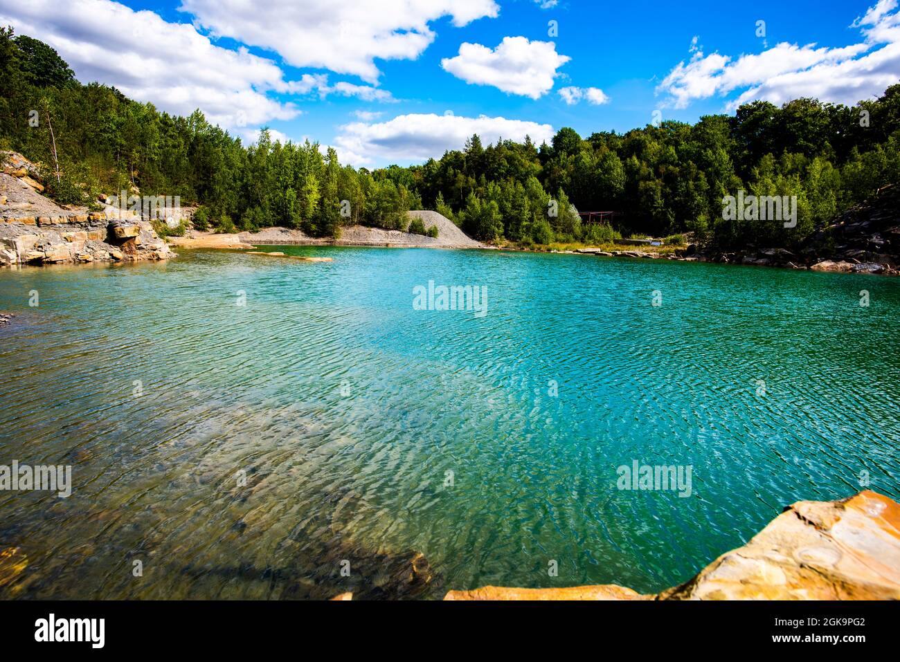 Baum regenwald hires stock photography and images Alamy