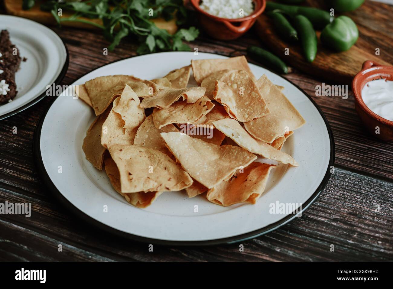 ingredients for homemade mexican green chilaquiles, nachos tortilla