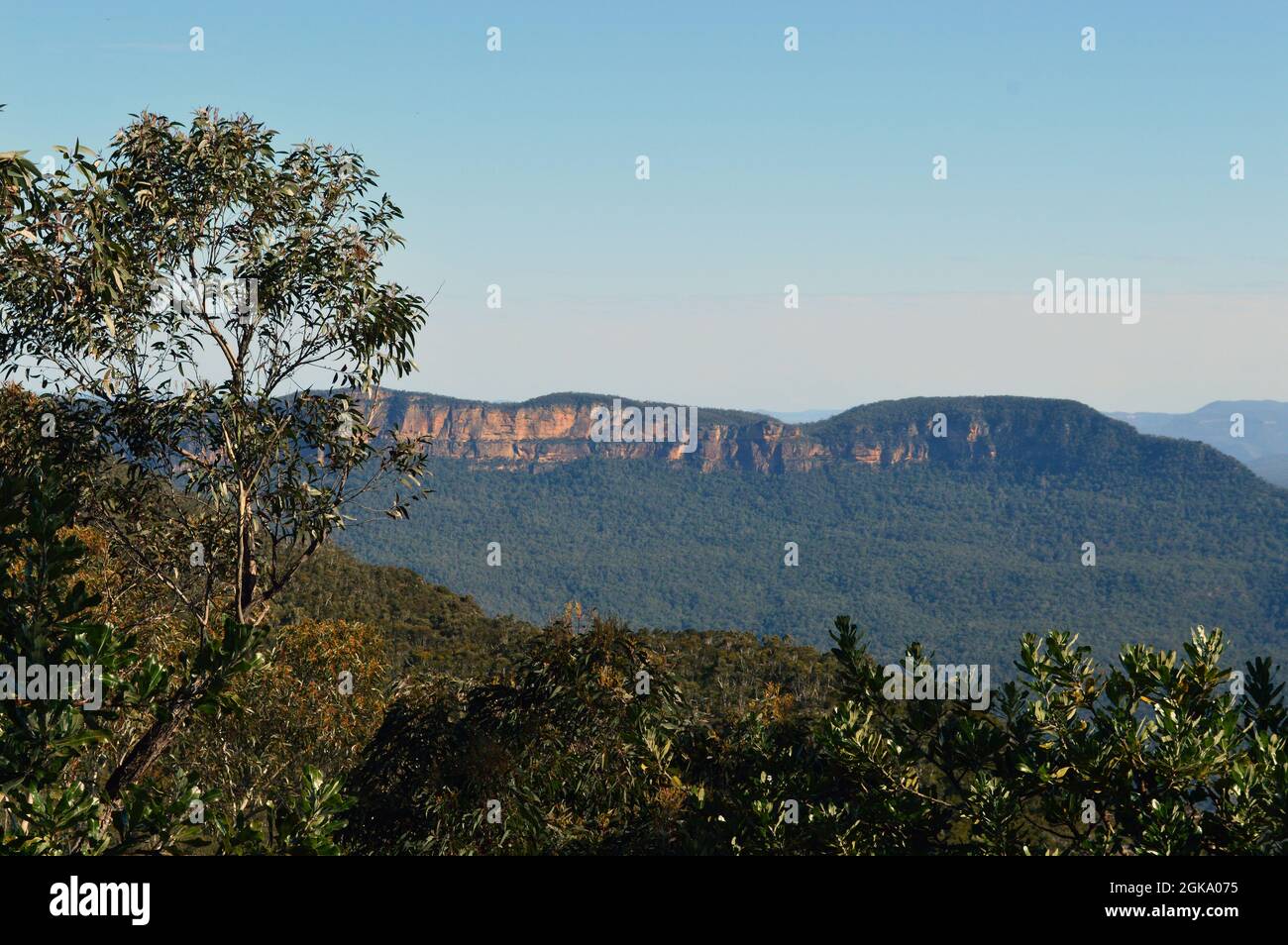 A view into the Jamison Valley From the Golf Course Lookout at Leura Stock Photo