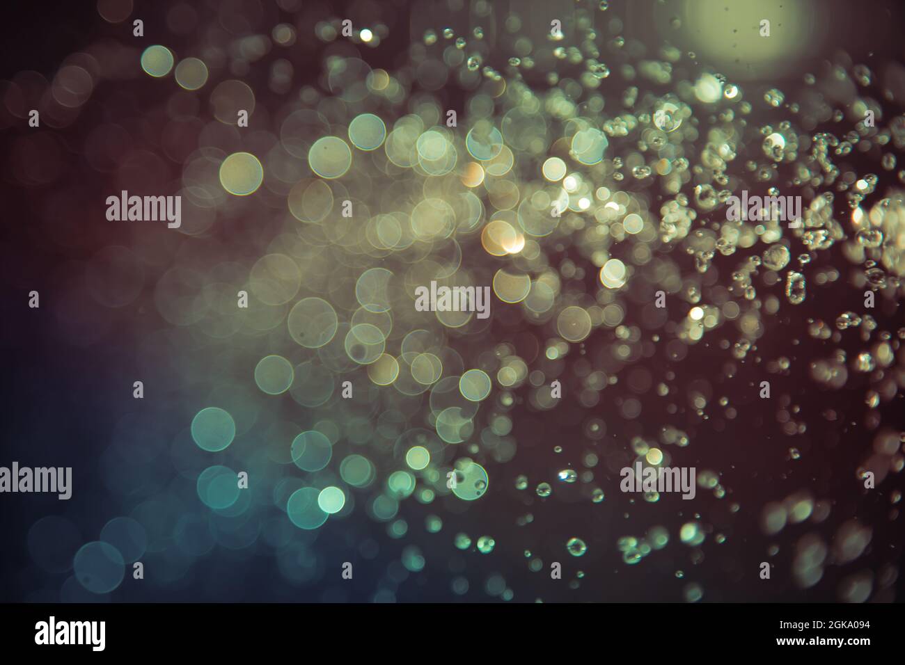 bokeh of water fly and lights on black background Stock Photo - Alamy