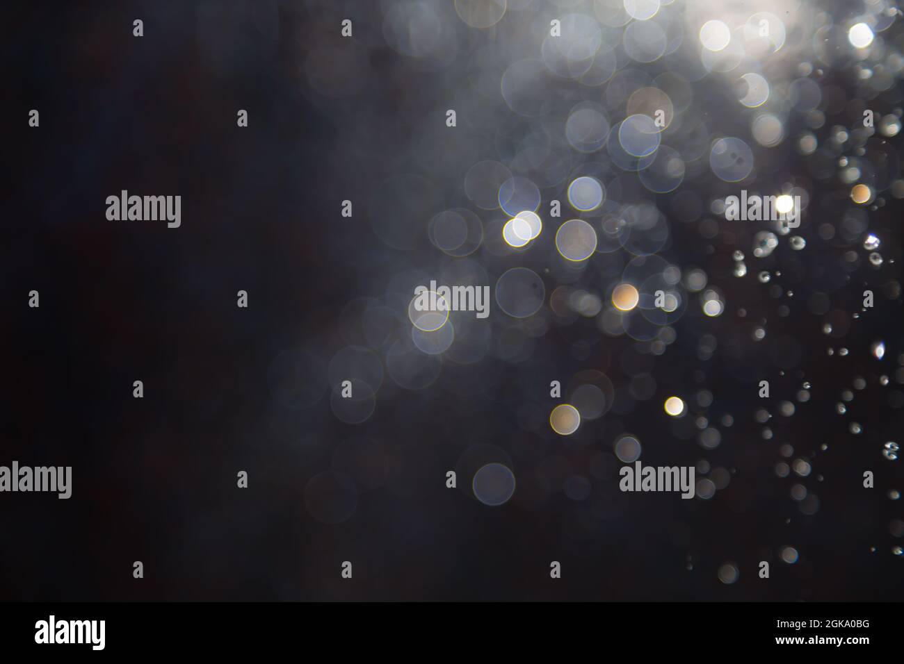 bokeh of water fly and lights on black background Stock Photo - Alamy