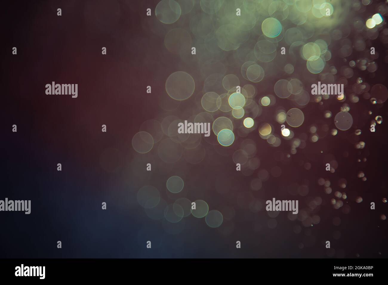 bokeh of water fly and lights on black background Stock Photo - Alamy