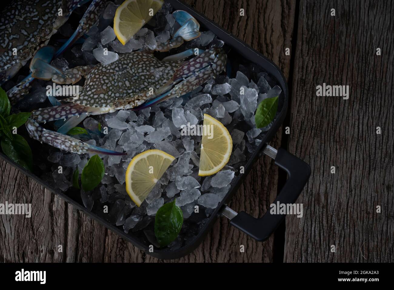 Seafood overhead shot. Fresh crab prawns on ice and wooden background. Stock Photo