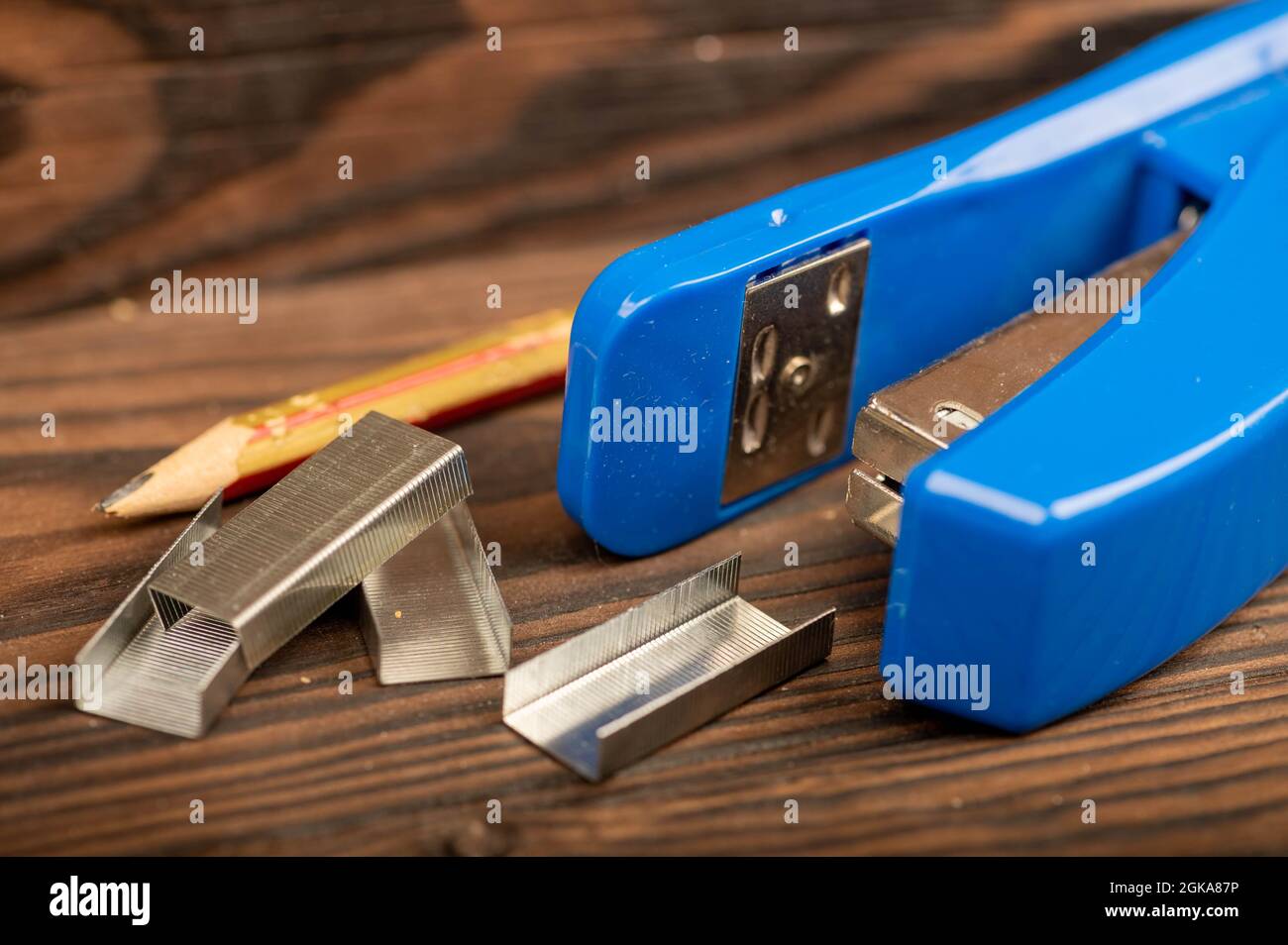 Stationery stapler, stapler staples, close-up selective focus Stock Photo