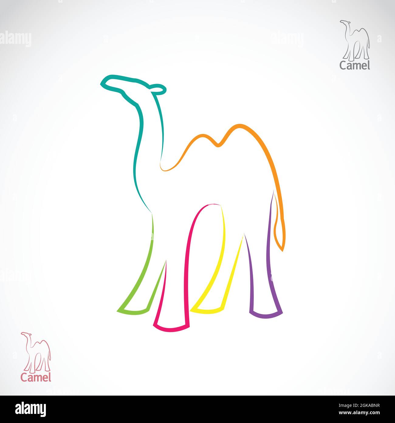 Vector image of ancamel on white background. Easy editable layered vector illustration. Wild Animals. Stock Vector