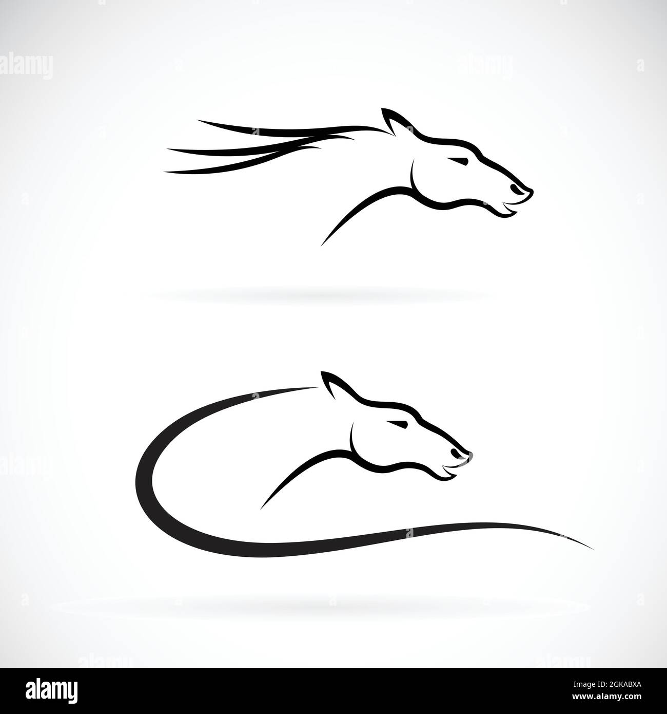 Vector of a horse head on white background. Wild Animal