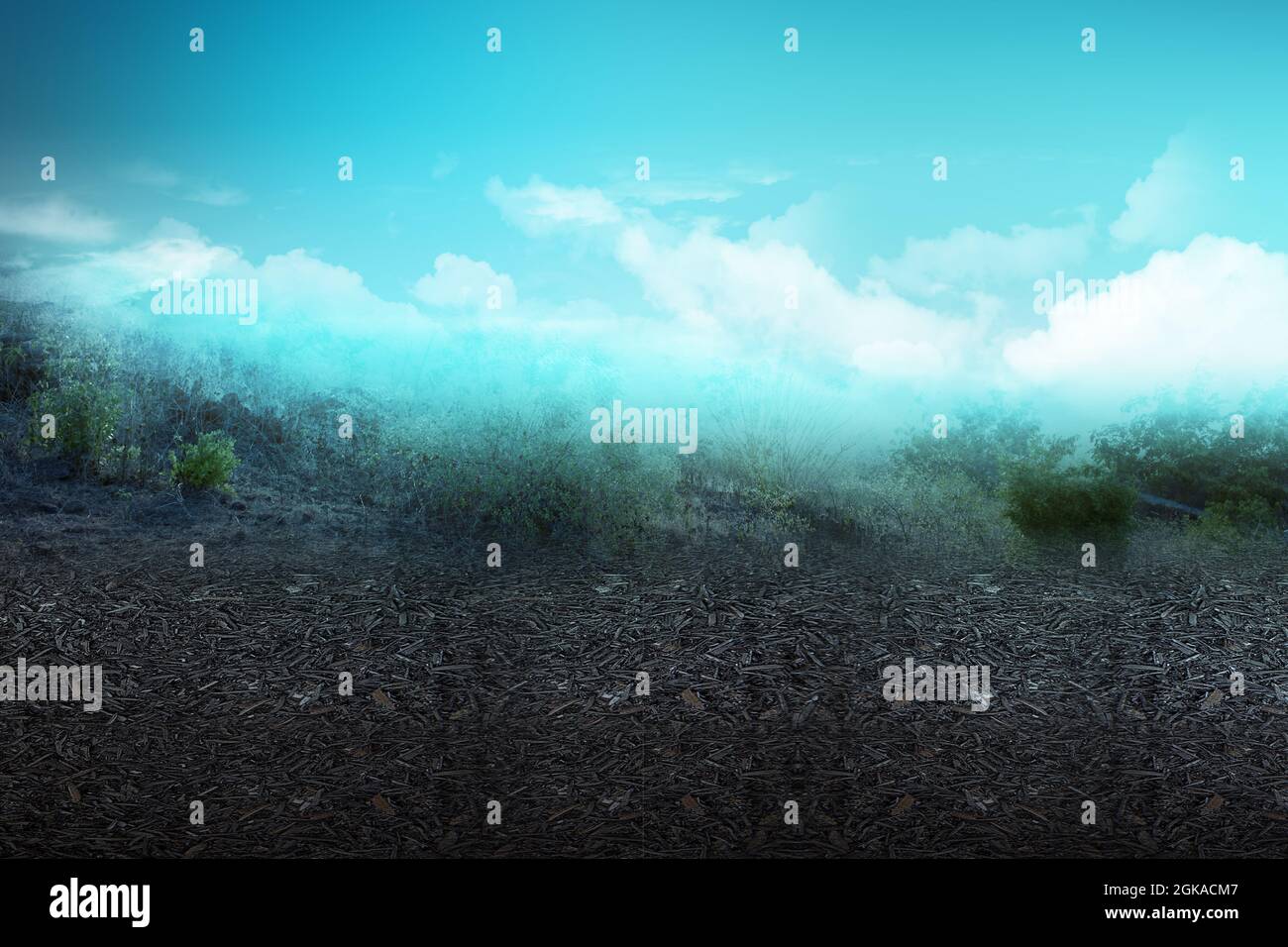 Field with the dramatic scene background Stock Photo - Alamy