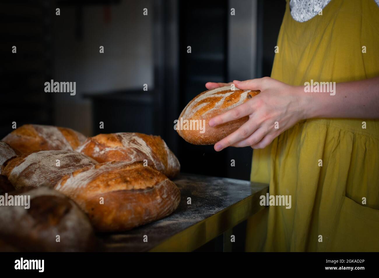 https://c8.alamy.com/comp/2GKAD2P/girl-baker-holding-a-loaf-of-bread-in-her-hands-2GKAD2P.jpg