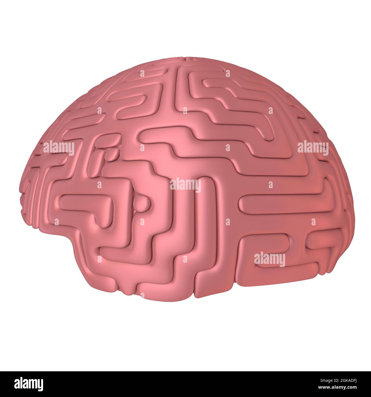 3D illustration of human brain, isolated on white. Stock Photo