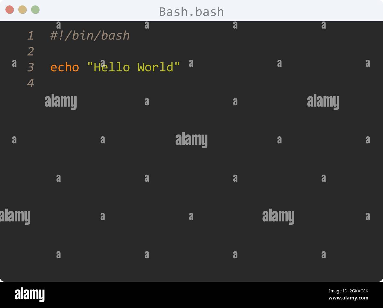 Bash Language Hello World Program Sample In Editor Window Illustration