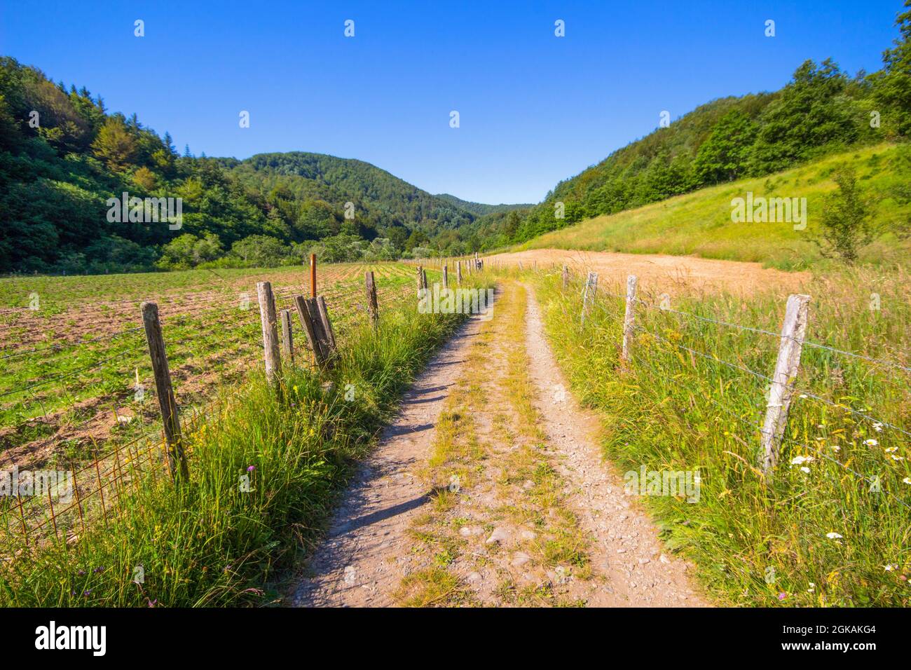 Pathway on the Ramaceto Mount trail near the village of Ventarola, Genoa province, Italy Stock Photo