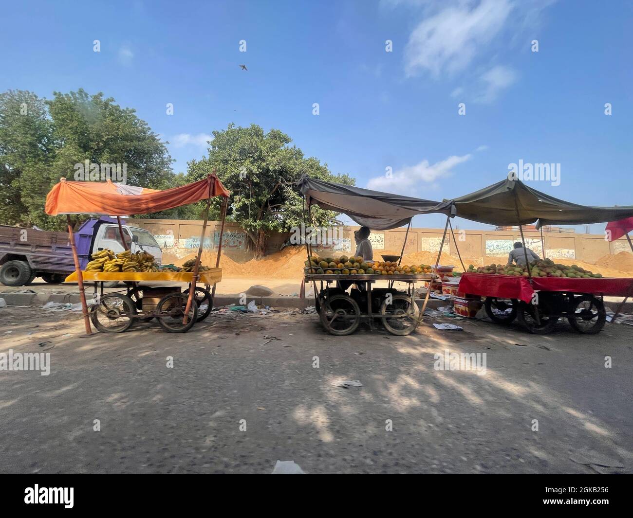 Thela rickshaw price sale