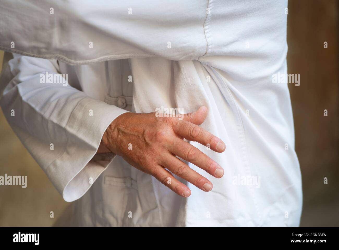 Tai Chi Martial Art Stock Photo Alamy