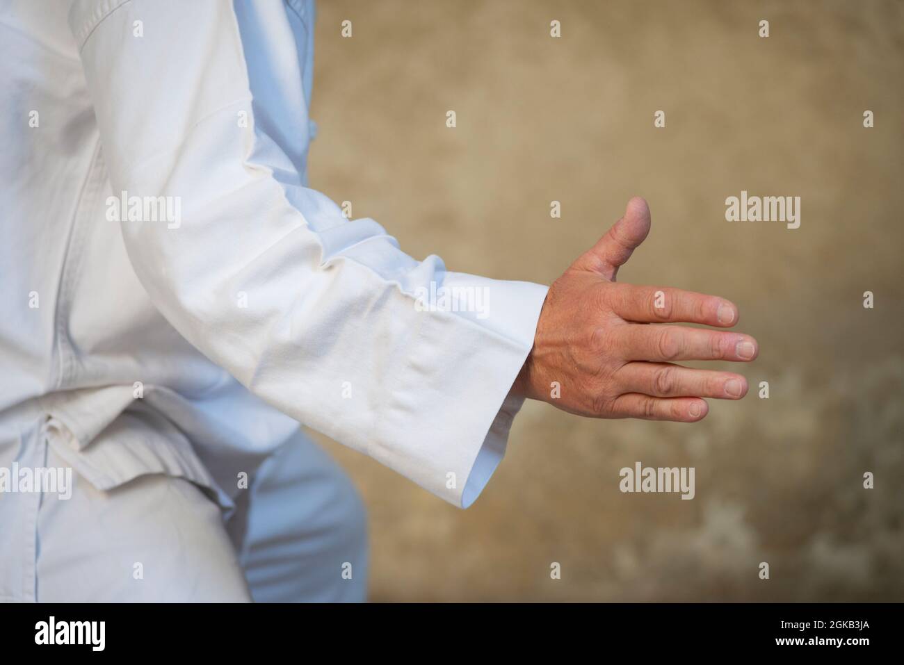 Tai Chi Martial Art Stock Photo Alamy