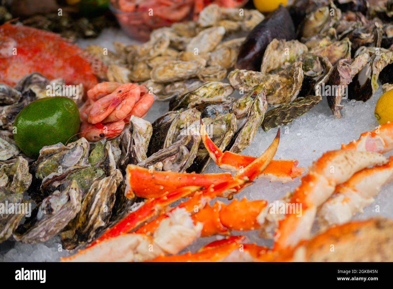 Raw crab claws, oysters, shrimp, avocado, lemon, clam on counter