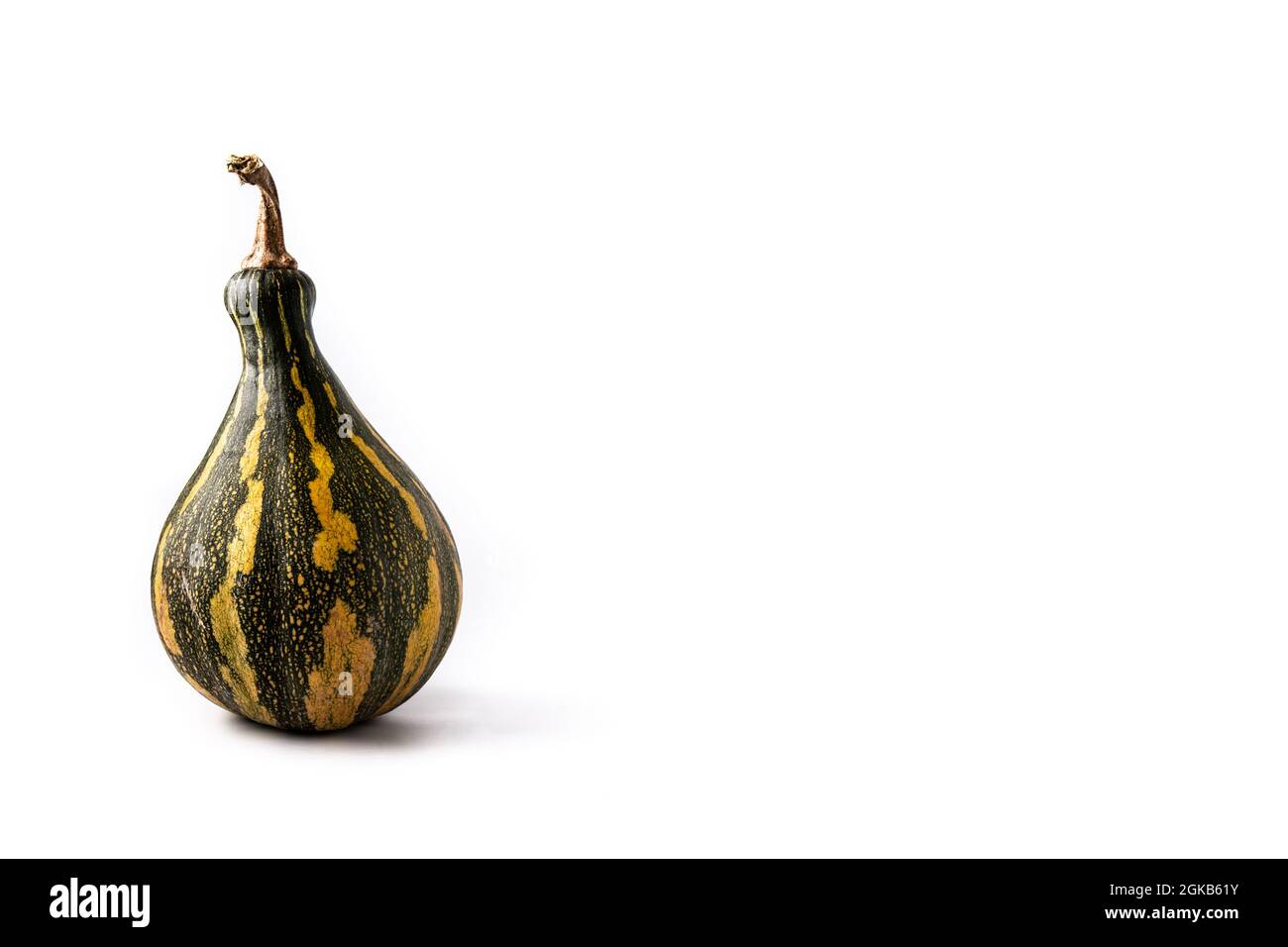 Fresh green pumpkin isolated on white background Stock Photo - Alamy