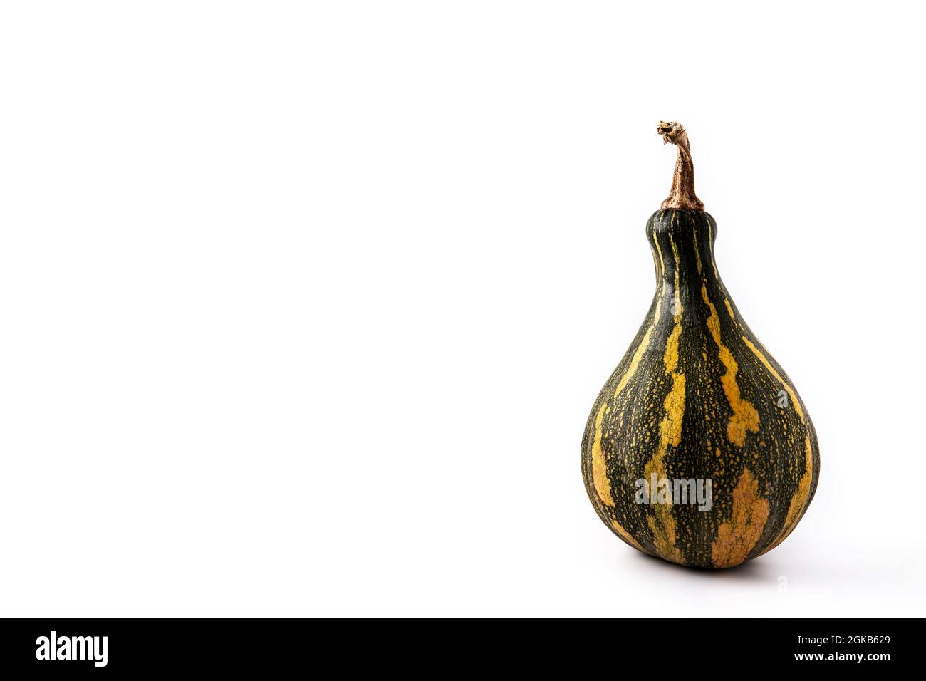 Fresh green pumpkin isolated on white background Stock Photo - Alamy