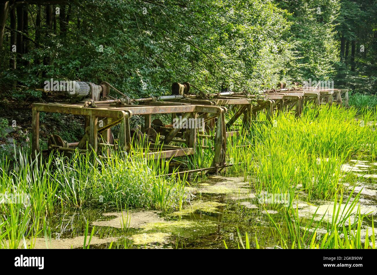 Watery environment hi-res stock photography and images - Alamy