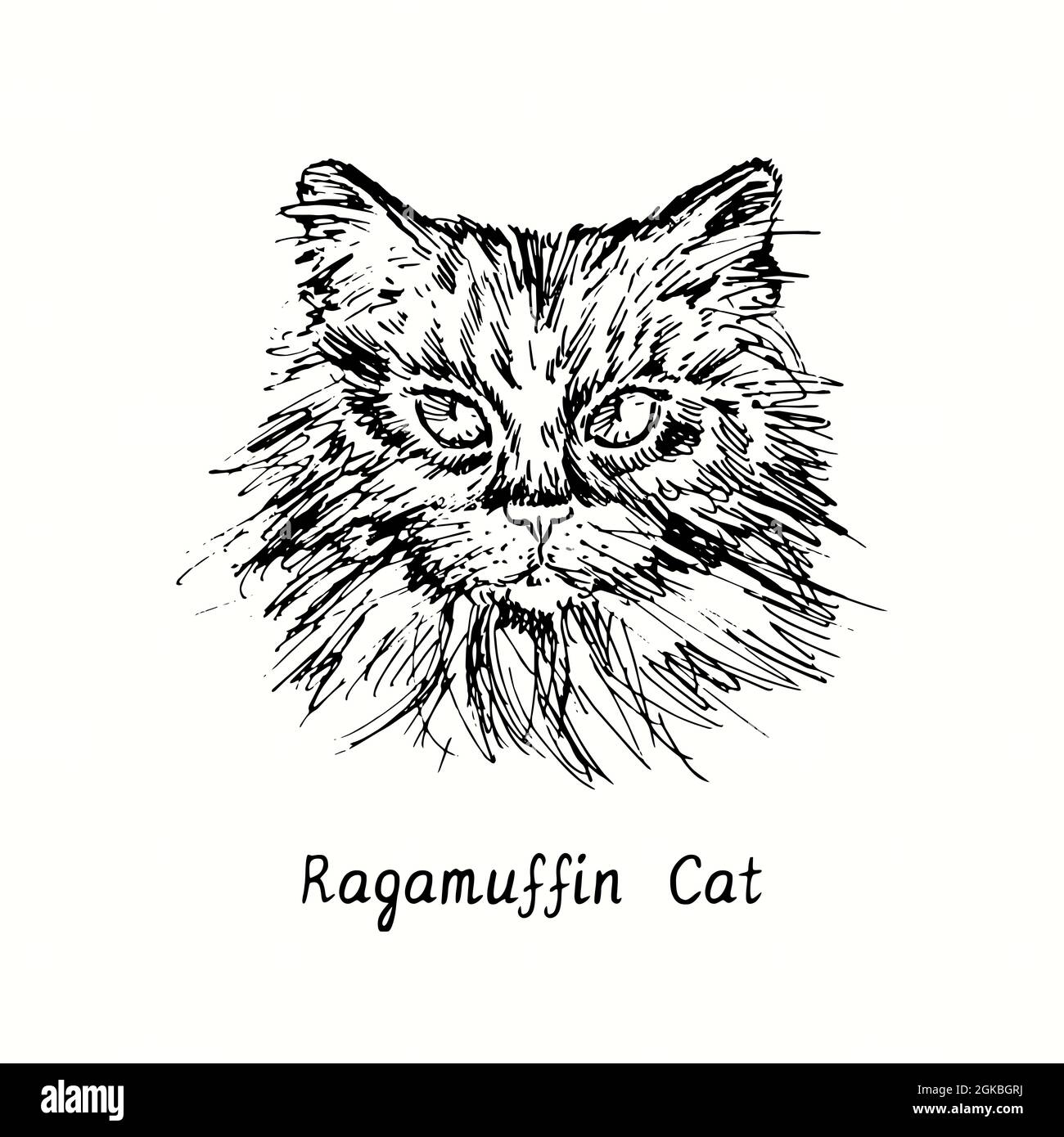Ragamuffin Cut Out Stock Images & Pictures - Alamy
