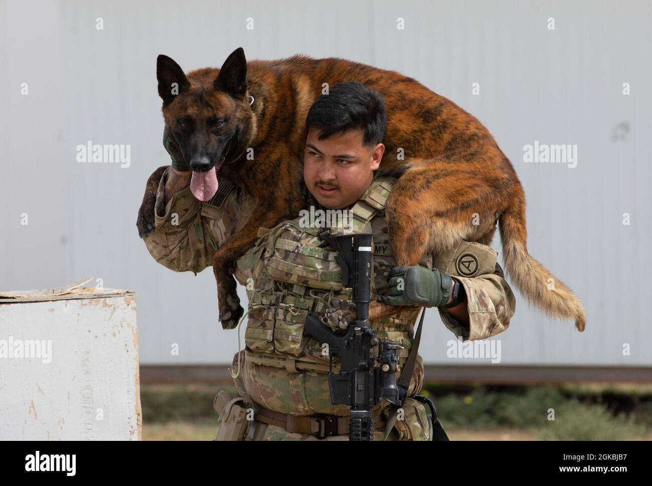 How Much Does A Dog Handler Earn