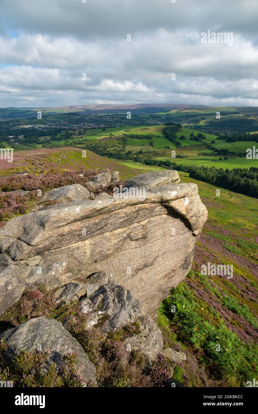 The Worm Stones, a gritstone outcrop in the hills above Glossop in the High Peak, Derbyshire, England. Heather flowering on the moors below. Stock Photo