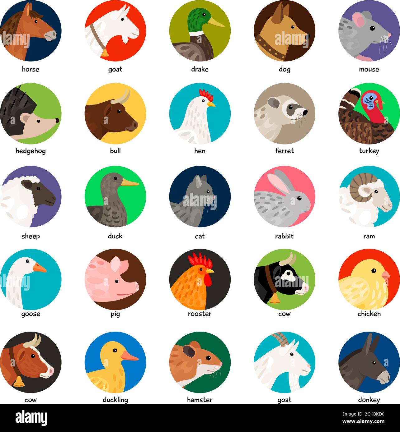 Large hen Cut Out Stock Images Pictures Alamy