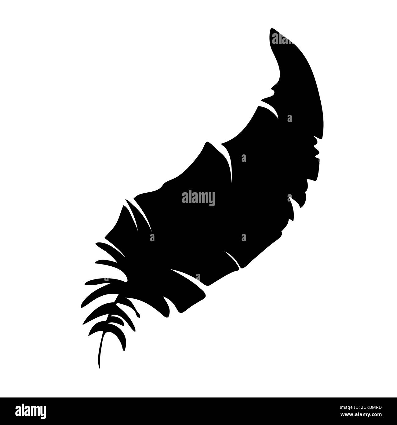 Feather of birds. Black feather silhouette for logo vector set Stock ...