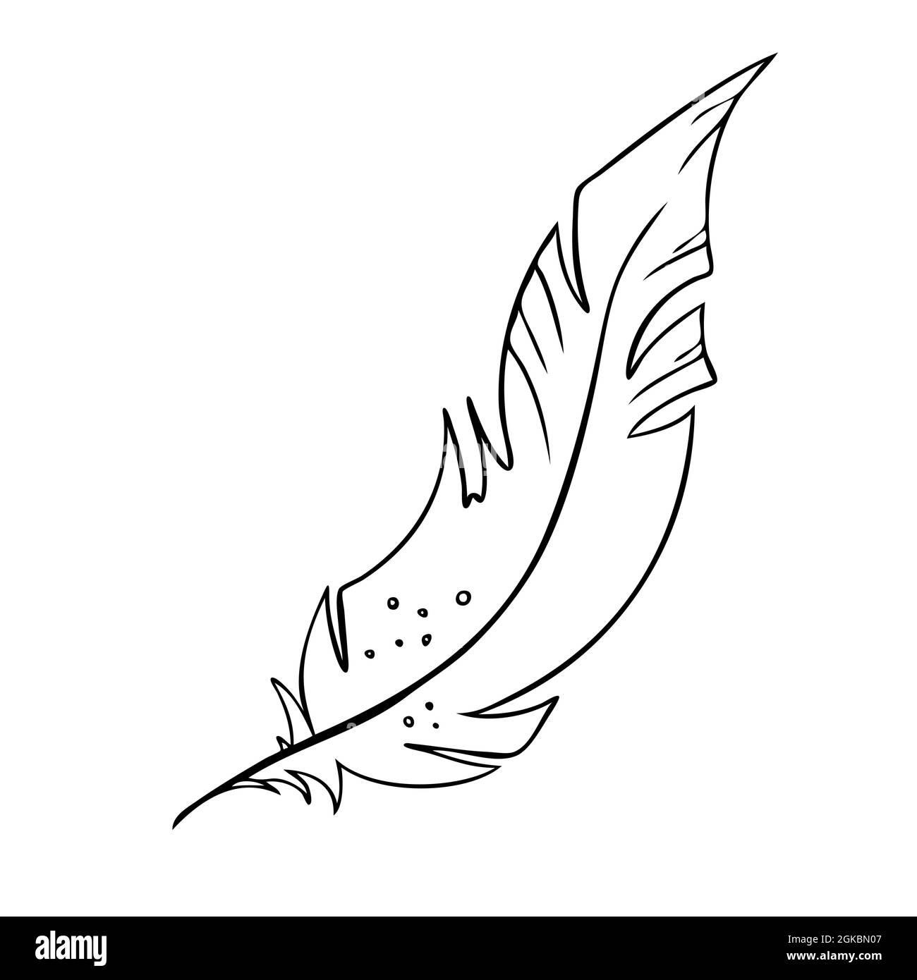 Feather of birds. Black and white feather silhouette for logo vector ...