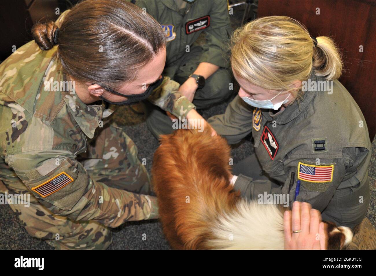 Beth byles hires stock photography and images Alamy