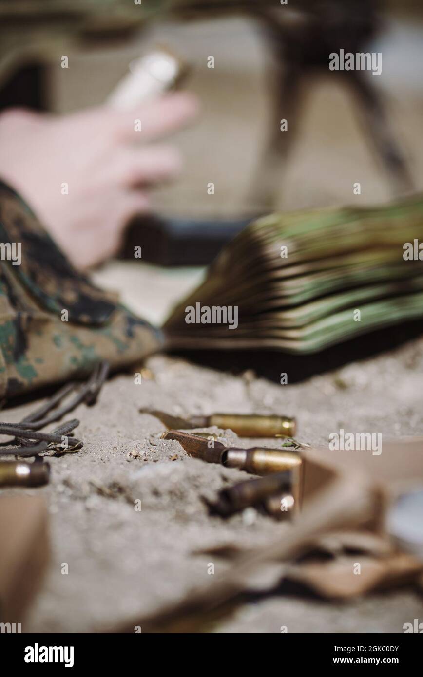 Spent shells fired from a M110 semi-automatic sniper system on range G ...