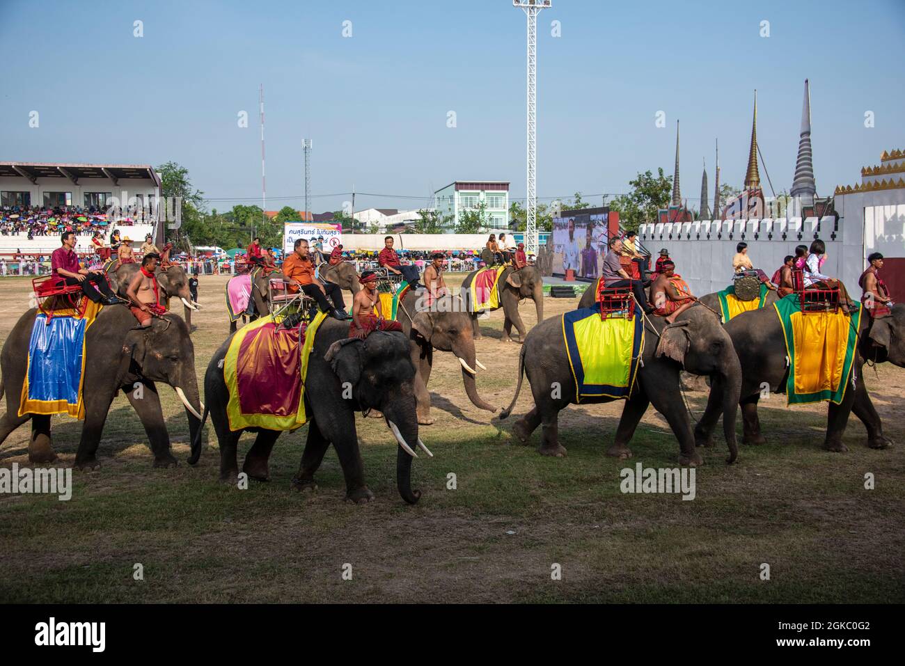 Surin, Thailand Nov 18, 2018 : Parade on Elephant's Back Festival is when elephants parade during The Annual Elephant Roundup on November 18, 2018 in Stock Photo