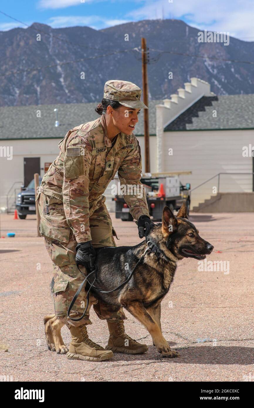 How Do You A Drug Dog Handler