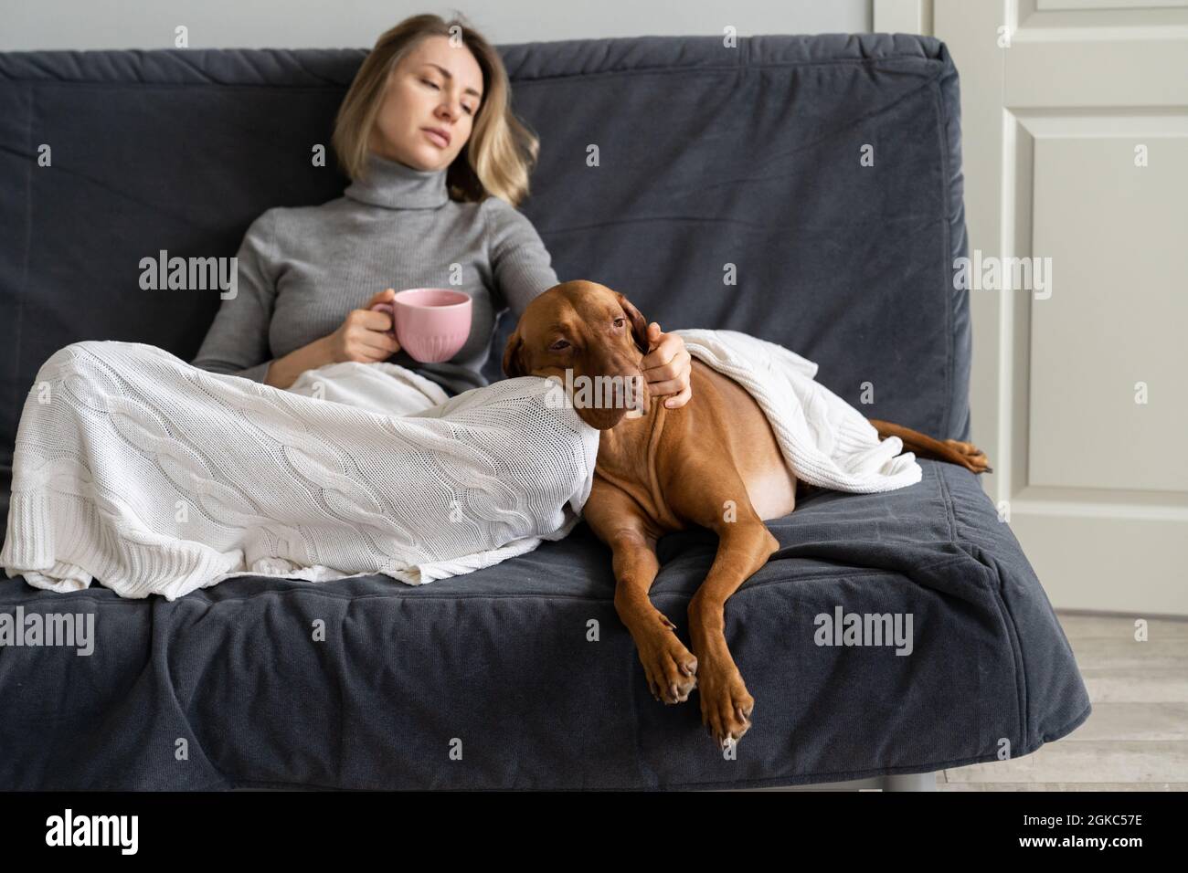 Frustrated adult woman avoid social contacts at home with dog after friend betrayal, lover breakup Stock Photo