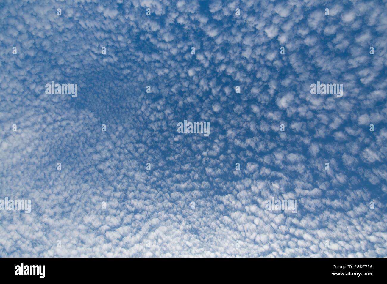 many altocumulus clouds in blue sky above England Stock Photo - Alamy