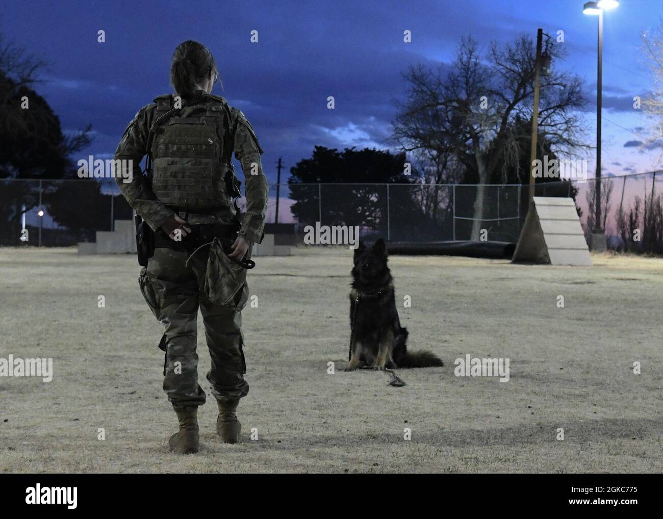 U.S. Air Force Staff Sgt. Tara C. Cummins, 377th Security Forces Squadron military working dog (MWD) handler, trains with MWD Hugo on Kirtland Air Force Base, New Mexico, March 9, 2021. Cummins, MWD Hugo’s handler, trains with him each shift to ensure he is mission ready. Stock Photo